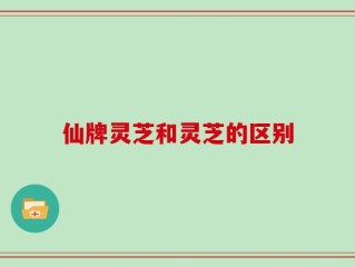 仙牌灵芝和灵芝的区别