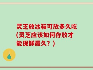 灵芝放冰箱可放多久吃(灵芝应该如何存放才能保鲜最久？)