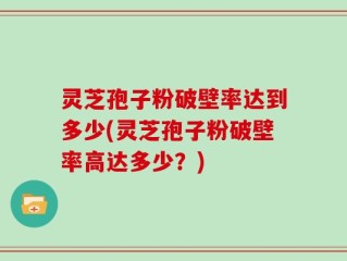 灵芝孢子粉破壁率达到多少(灵芝孢子粉破壁率高达多少？)