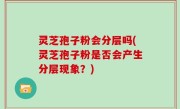 灵芝孢子粉会分层吗(灵芝孢子粉是否会产生分层现象？)