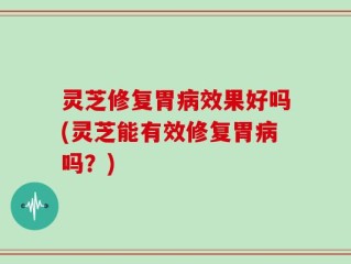 灵芝修复胃病效果好吗(灵芝能有效修复胃病吗？)