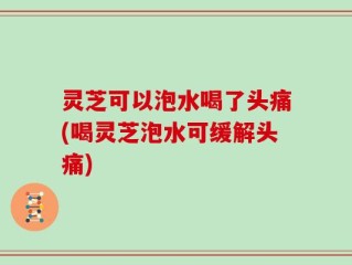 灵芝可以泡水喝了头痛(喝灵芝泡水可缓解头痛)