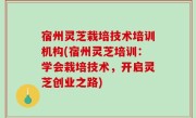 宿州灵芝栽培技术培训机构(宿州灵芝培训：学会栽培技术，开启灵芝创业之路)