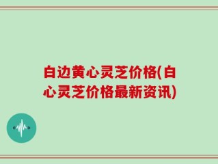 白边黄心灵芝价格(白心灵芝价格最新资讯)