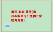 黄芪 石斛 灵芝(黄芪石斛灵芝：植物三宝助力养生)