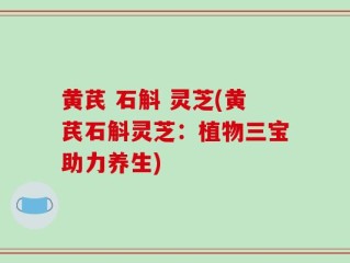 黄芪 石斛 灵芝(黄芪石斛灵芝：植物三宝助力养生)