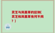灵芝与凤凰草的区别(灵芝和凤凰草有何不同？)