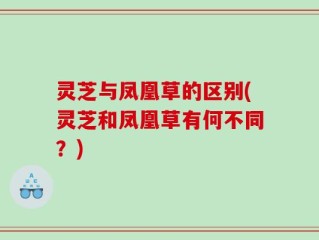 灵芝与凤凰草的区别(灵芝和凤凰草有何不同？)