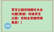 灵芝公园空拍图片大全大图(震撼！惊艳灵芝公园！空拍全景图燃爆美感！)