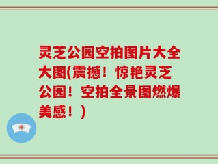 灵芝公园空拍图片大全大图(震撼！惊艳灵芝公园！空拍全景图燃爆美感！)