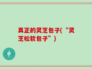 真正的灵芝包子(“灵芝松软包子”)