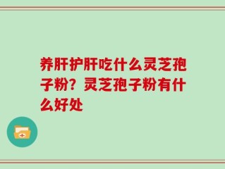 养肝护肝吃什么灵芝孢子粉？灵芝孢子粉有什么好处