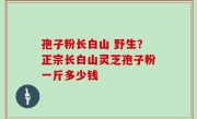 孢子粉长白山 野生？正宗长白山灵芝孢子粉一斤多少钱