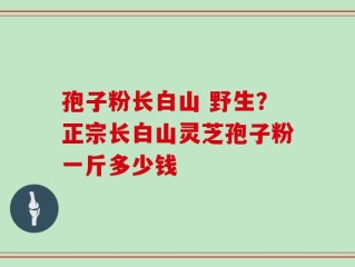 孢子粉长白山 野生？正宗长白山灵芝孢子粉一斤多少钱