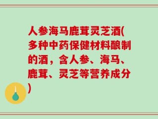 人参海马鹿茸灵芝酒(多种中药保健材料酿制的酒，含人参、海马、鹿茸、灵芝等营养成分)