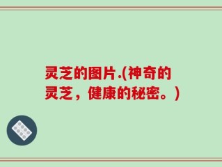 灵芝的图片.(神奇的灵芝，健康的秘密。)