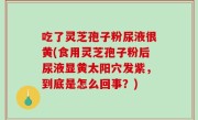 吃了灵芝孢子粉尿液很黄(食用灵芝孢子粉后尿液显黄太阳穴发紫，到底是怎么回事？)