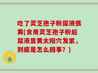 吃了灵芝孢子粉尿液很黄(食用灵芝孢子粉后尿液显黄太阳穴发紫，到底是怎么回事？)
