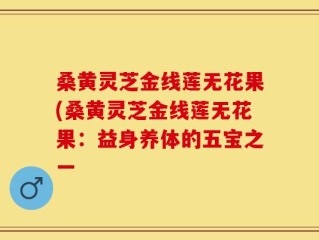 桑黄灵芝金线莲无花果(桑黄灵芝金线莲无花果：益身养体的五宝之一