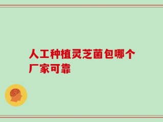 人工种植灵芝菌包哪个厂家可靠