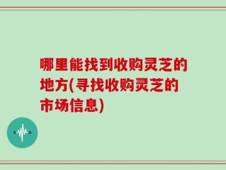 哪里能找到收购灵芝的地方(寻找收购灵芝的市场信息)