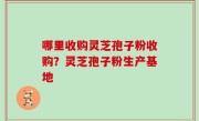 哪里收购灵芝孢子粉收购？灵芝孢子粉生产基地