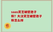 saas灵芝破壁孢子粉？大汉灵芝破壁孢子粉怎么样