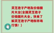 灵芝孢子产地及价格图片大全(全国灵芝孢子价格图片大全，快来了解灵芝孢子产地和市场行情！)