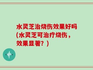 水灵芝治烧伤效果好吗(水灵芝可治疗烧伤，效果显著？)