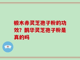 椴木赤灵芝孢子粉的功效？鹊华灵芝孢子粉是真的吗