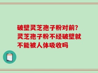破壁灵芝孢子粉对前？灵芝孢子粉不经破壁就不能被人体吸收吗