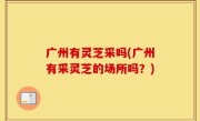 广州有灵芝采吗(广州有采灵芝的场所吗？)