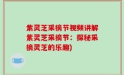 紫灵芝采摘节视频讲解紫灵芝采摘节：探秘采摘灵芝的乐趣)