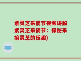 紫灵芝采摘节视频讲解紫灵芝采摘节：探秘采摘灵芝的乐趣)