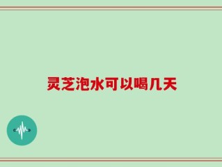 灵芝泡水可以喝几天