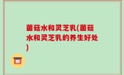 菌菇水和灵芝乳(菌菇水和灵芝乳的养生好处)