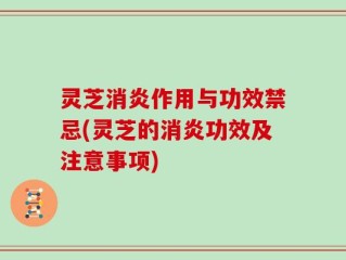 灵芝消炎作用与功效禁忌(灵芝的消炎功效及注意事项)