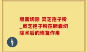 胆囊切除 灵芝孢子粉_灵芝孢子粉在胆囊切除术后的恢复作用