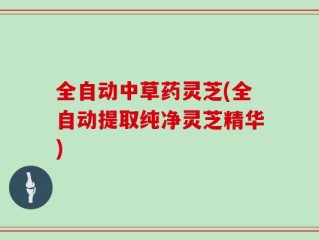 全自动中草药灵芝(全自动提取纯净灵芝精华)