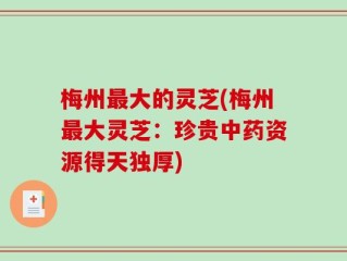 梅州最大的灵芝(梅州最大灵芝：珍贵中药资源得天独厚)