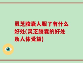 灵芝胶囊人服了有什么好处(灵芝胶囊的好处及人体受益)