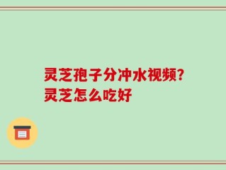 灵芝孢子分冲水视频？灵芝怎么吃好