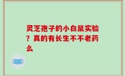 灵芝孢子的小白鼠实验？真的有长生不不老药么