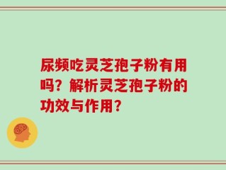 尿频吃灵芝孢子粉有用吗？解析灵芝孢子粉的功效与作用？