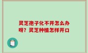 灵芝孢子化不开怎么办呀？灵芝种植怎样开口