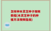 怎样种木灵芝种子视频教程(木灵芝种子的种植方法视频指南)