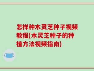 怎样种木灵芝种子视频教程(木灵芝种子的种植方法视频指南)