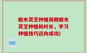 椴木灵芝种植周期椴木灵芝种植耗时长，学习种植技巧迈向成功)