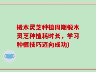 椴木灵芝种植周期椴木灵芝种植耗时长，学习种植技巧迈向成功)