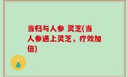 当归与人参 灵芝(当人参遇上灵芝，疗效加倍)